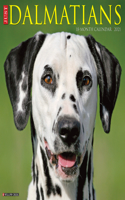 Just Dalmatians 2021 Wall Calendar (Dog Breed Calendar)