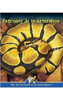 Patrones de la Naturaleza: Patterns in Nature