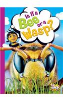 Is It a Bee or a Wasp?: (Can You Tell the Difference?)