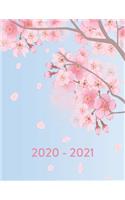 2020 - 2021