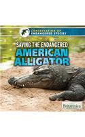 Saving the Endangered American Alligator