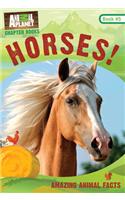 Horses!