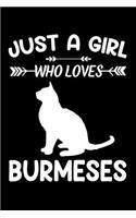Just a girl who loves Burmeses