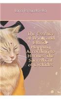 The Essence of Being and Island-Hopping According to Hermes, the Sacred Cat of Cyclades