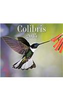 Colibris 2015