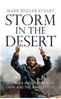 Storm in the Desert