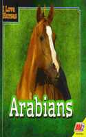 Arabians