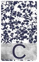 C Initial Notebook