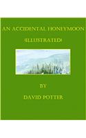 An Accidental Honeymoon (Illustrated)