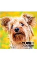 Yorkie Calendar 2018: 16 Month Calendar