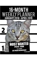 2018-2019 Weekly Planner - Most Wanted Pixie-bob: Daily Diary Monthly Yearly Calendar Large 8.5" x 11" Schedule Journal Organizer Notebook Appointment