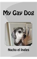 My Gay Dog