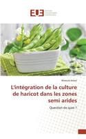 L'Intégration de la Culture de Haricot Dans Les Zones Semi Arides