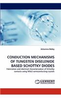 Conduction Mechanisms of Tungsten Diselenide Based Schottky Diodes