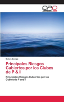 Principales Riesgos Cubiertos por los Clubes de P & I