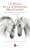 La Dicha de la Verdadera Meditacion