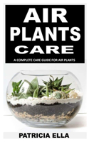 Air Plant Care