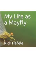 My Life as a Mayfly