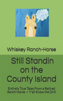 Still Standin on the County Island