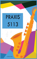 Praxis 5113