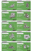 Read Write Inc. Phonics: Green Set 1 Core Black & White Storybooks (Pack of 100): (Read Write Inc. Phonics)