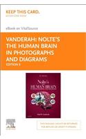Nolte's the Human Brain in Photographs and Diagrams - Elsevier eBook on Vitalsource (Retail Access Card)