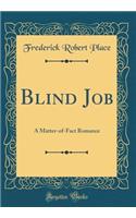 Blind Job: A Matter-of-Fact Romance (Classic Reprint)