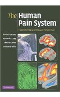 The Human Pain System