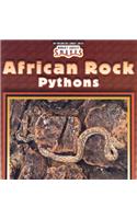 African Rock Pythons