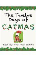 The Twelve Days of Catmas
