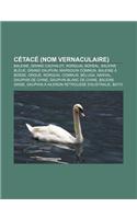 Cetace (Nom Vernaculaire): Baleine, Grand Cachalot, Rorqual Boreal, Baleine Bleue, Grand Dauphin, Marsouin Commun, Baleine a Bosse, Orque(French)