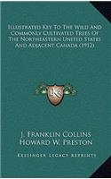Illustrated Key To The Wild And Commonly Cultivated Trees Of The Northeastern United States And Adjacent Canada (1912)