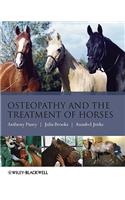 Osteopathy Treatment Horses