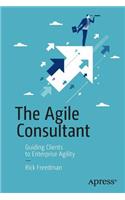 Agile Consultant