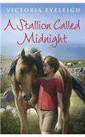 A Stallion Called Midnight