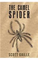 Camel Spider