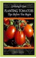 Planting Tomatoes