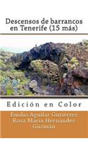 Descensos de barrancos en Tenerife (15 más) (Edición en Color)