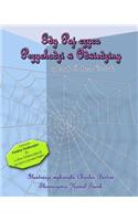When A Spider Came To Stay (Polish)