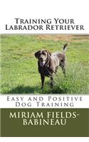 Training Your Labrador Retriever