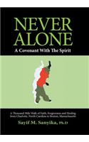 Never Alone: A covenant with the spirit(English)
