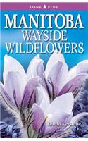 Manitoba Wayside Wildflowers