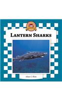 Lantern Sharks