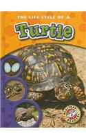The Life Cycle of a Turtle: (Life Cycles)