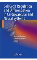 Cell Cycle Regulation and Differentiation in Cardiovascular and Neural Systems