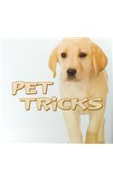 Pet Tricks