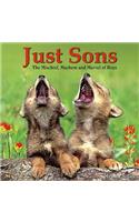 Just Sons: The Mischief, Mayhem and Marvel of Boys