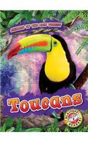 Toucans