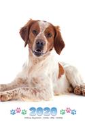 2020 Brittany Dog Planner - Weekly - Daily - Monthly