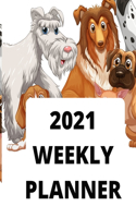 2021 weekly planner: 2021 Planner Weekly: January to December